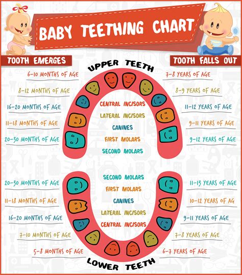 What age do babies start teething and what are the signs